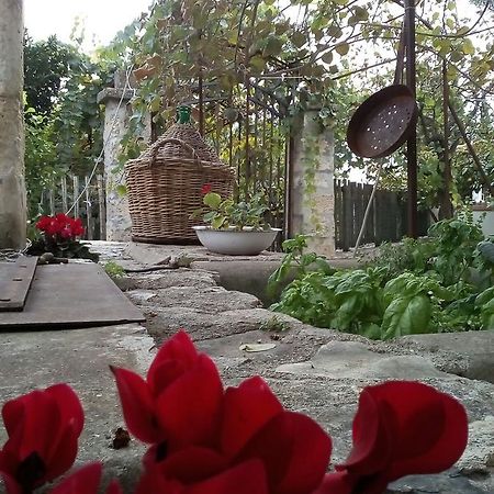 Bed and Breakfast L'Aranceto Di Giorgia Trani Exterior foto